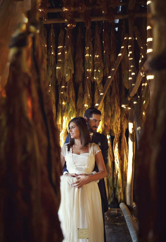 Los novios entre hojas de tabaco. CF Bodas. Fotógrafo especialista en fotos de boda.